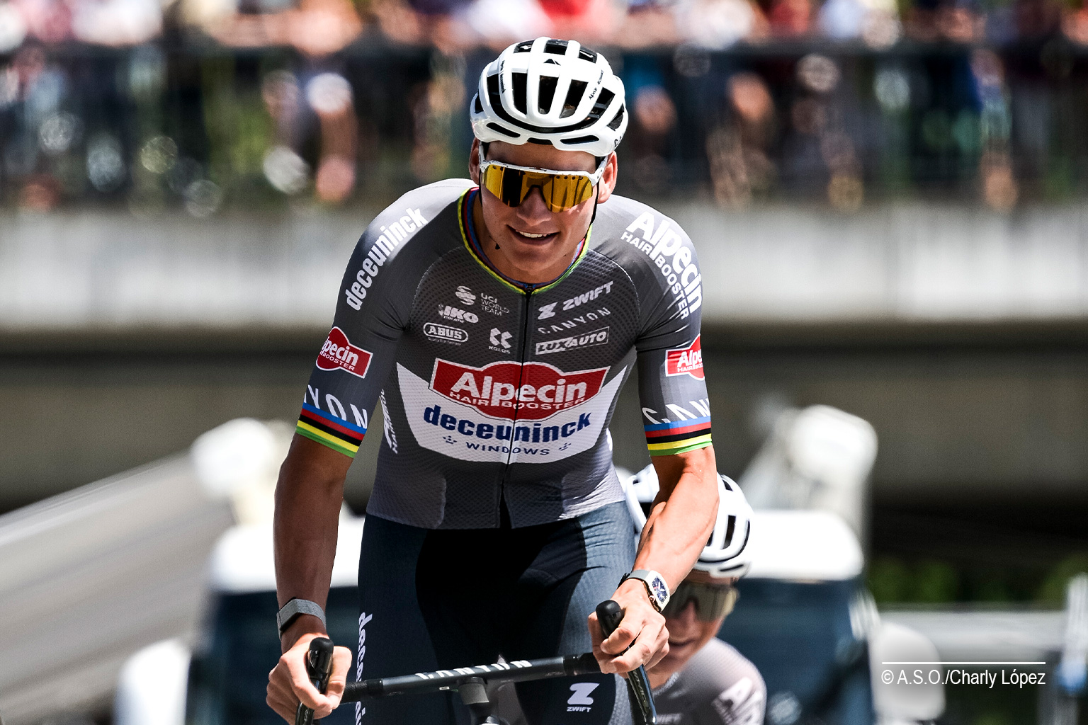 van der poel