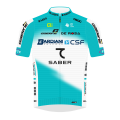 Teamtrikot