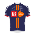 Teamtrikot