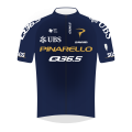 Teamtrikot