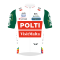 Teamtrikot