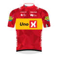 Teamtrikot