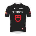 Teamtrikot