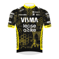 Teamtrikot